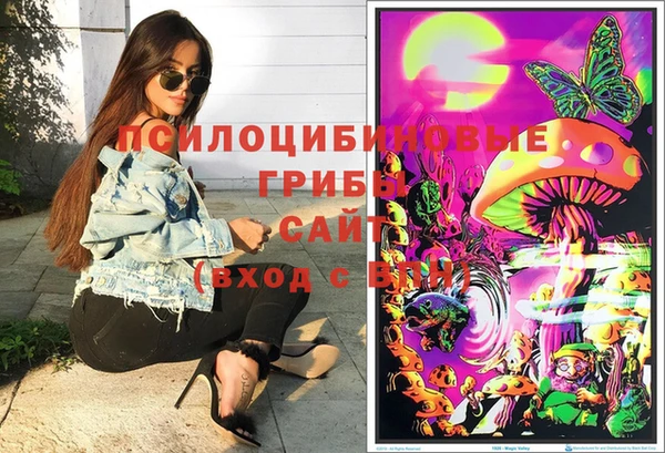 ECSTASY Богородицк