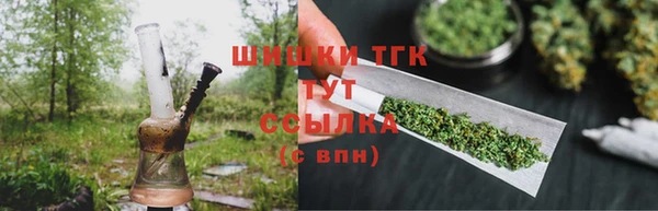 стаф Богданович