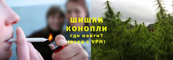 ECSTASY Богородицк