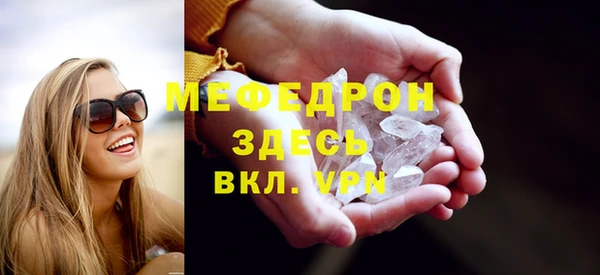 стаф Богданович