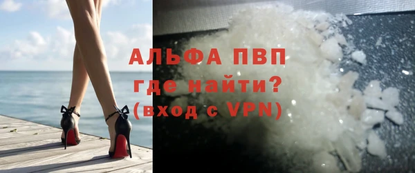 стаф Богданович