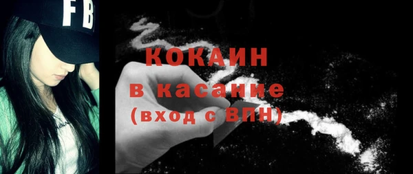 ECSTASY Богородицк