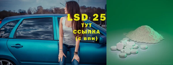 шишки Бородино