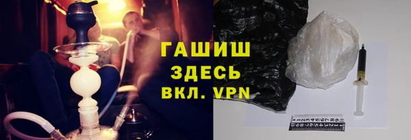 стаф Богданович