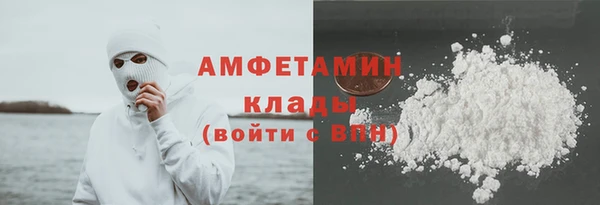 стаф Богданович