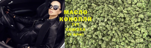 ECSTASY Богородицк