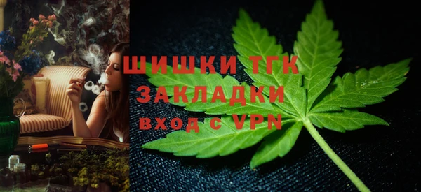 ECSTASY Богородицк