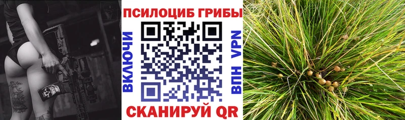 купить закладку  Бронницы  Галлюциногенные грибы прущие грибы 